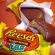 Illustration for article titled Petition to have Reeses Eggs and Cadbury Mini Eggs Count as Actual Eggs